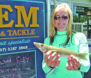 The whiting have been good lately for the persistent angler.